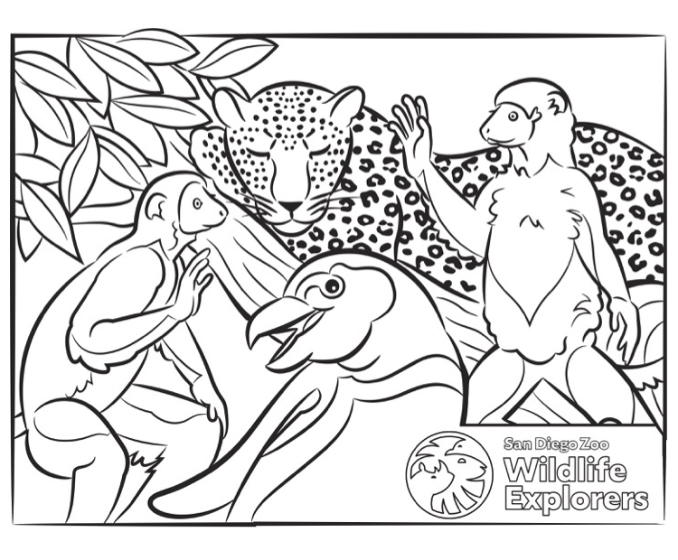 Sifaka lemurs, leopard, and African penguin coloring page.